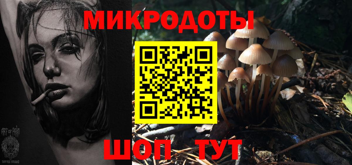 Псилоцибиновые грибы MAGIC MUSHROOMS  Вход с VPN  Псилоцибиновые грибы прущие грибы  что такое   Красногорск 